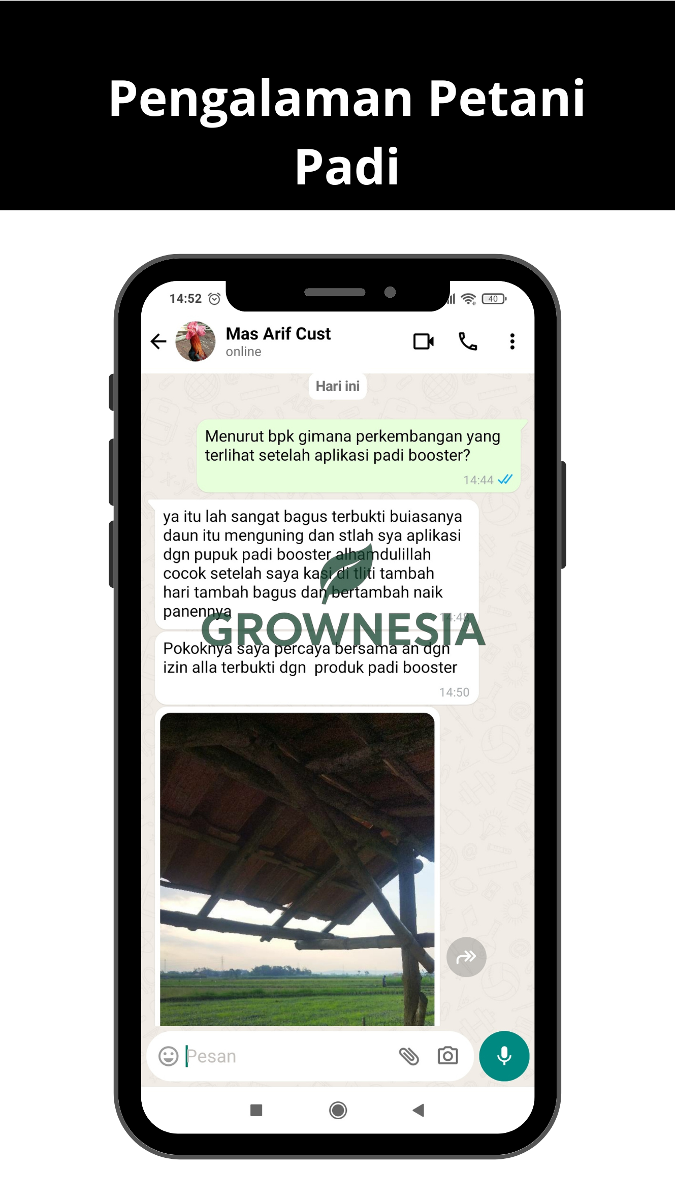 Pengalaman Petani Padi (2)