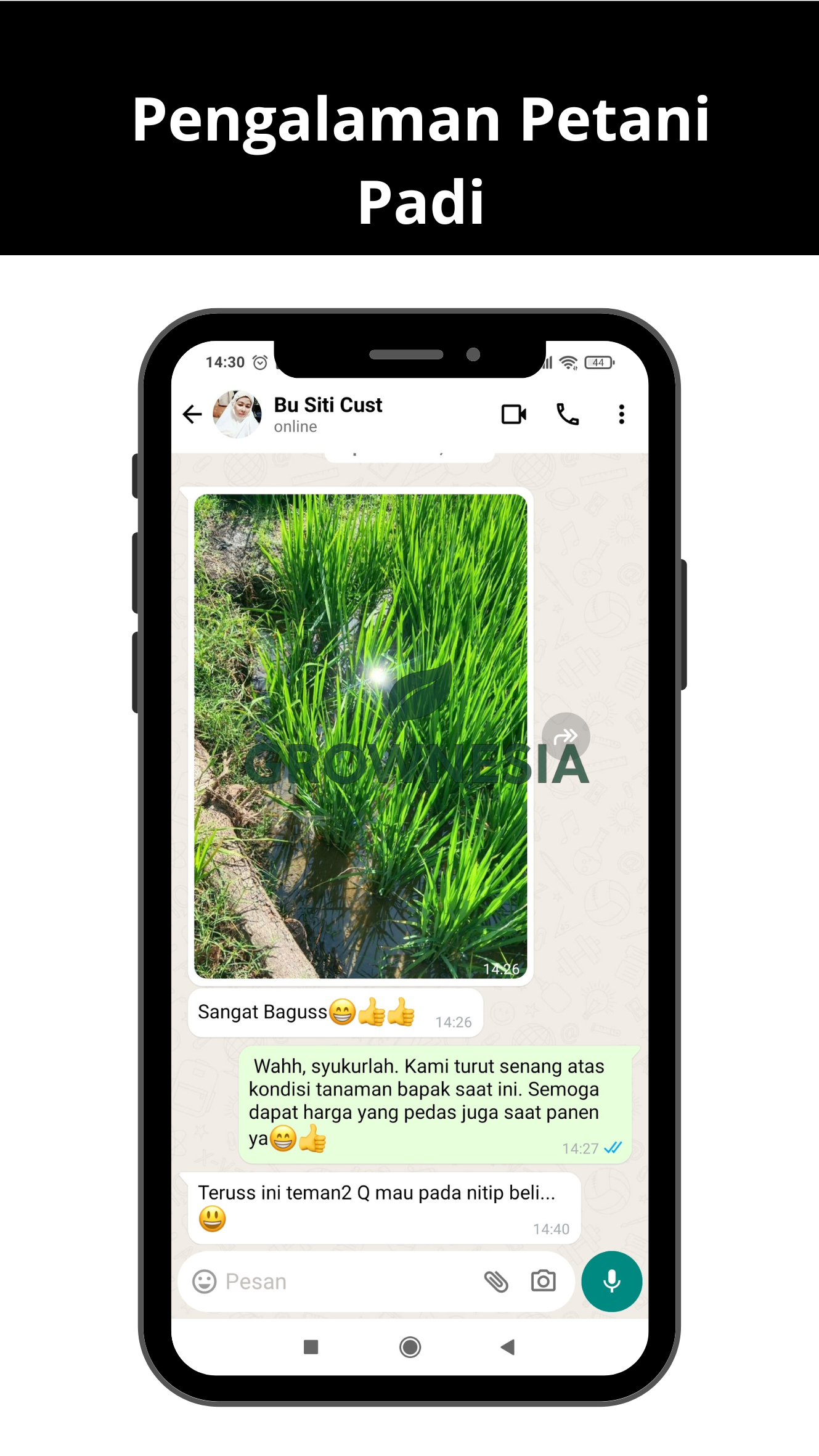 Pengalaman Petani Padi