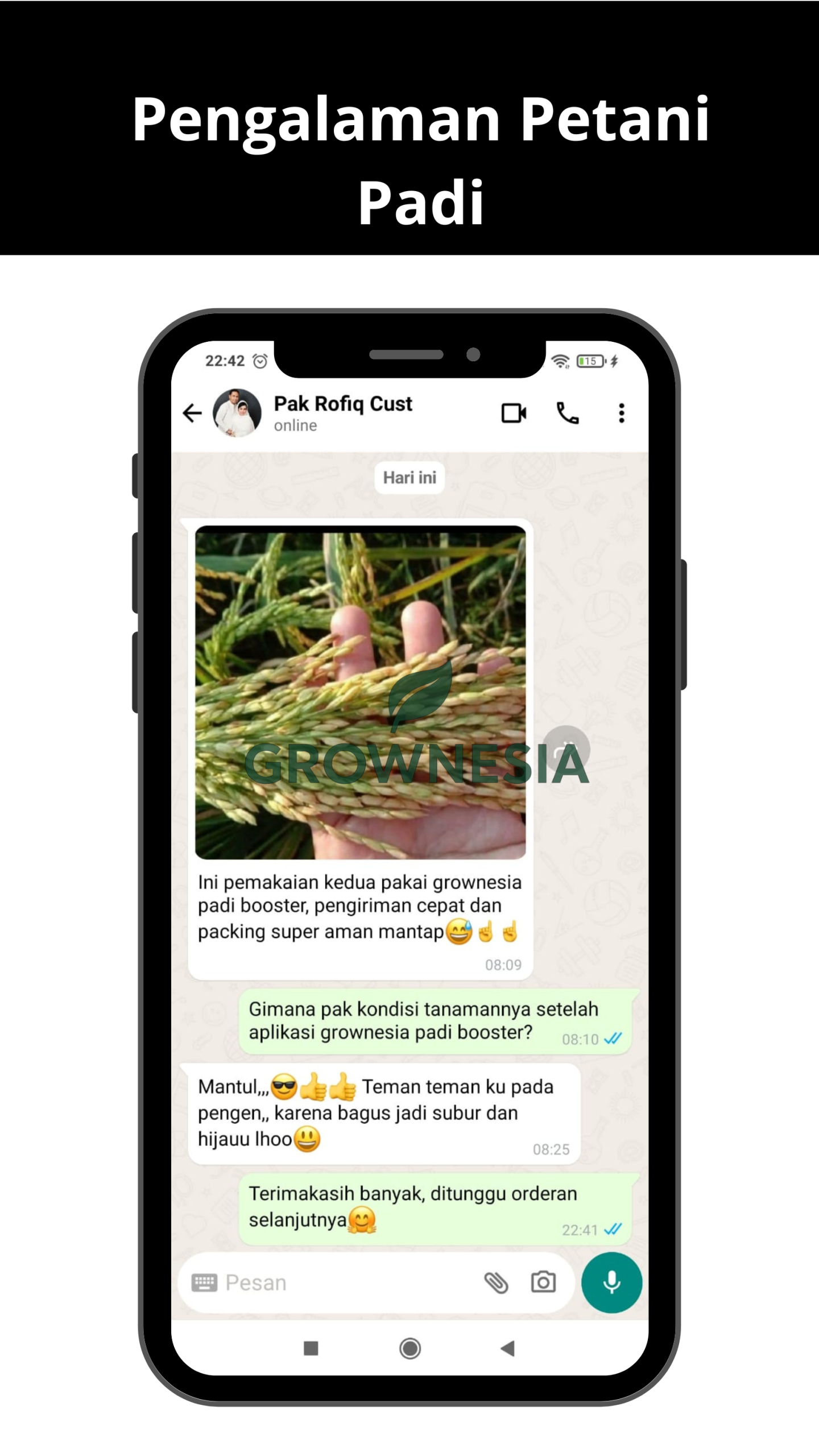 Pengalaman Petani Padi (4)